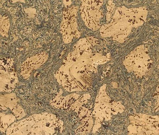 Пробковое покрытие Ibercork Classic UCWT Леон лазур