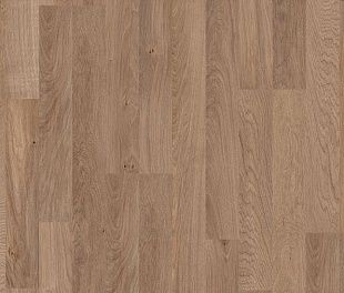 Ламинат Pergo Public Extreme Classic Plank Дуб Кашемир, 2-Х Полосный L0101-01798
