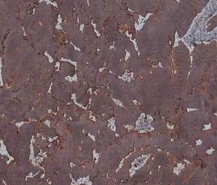 Пробковое покрытие CORKART Настенное 324c AG (PW3 324c AG-3.0) Пробковое покрытие CORKART Настенное 324c AG (PW3 324c AG-3.0)