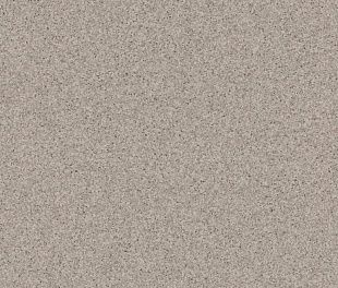 Линолеум Tarkett PRIMO PLUS 313