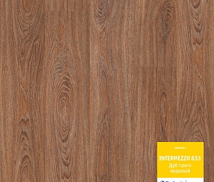 Ламинат Tarkett Intermezzo Дуб ТАНГО медовый 504023049