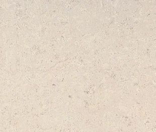 Пробковое покрытие RCork Eco cork home (клеевое) PB-CP Madeira white