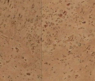 Пробковое покрытие CORKART Настенное 101c NN (PW3 101c NN-3.0) Пробковое покрытие CORKART Настенное 101c NN (PW3 101c NN-3.0)