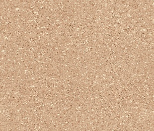 Линолеум PROFI VECTOR ARES 1 (4)