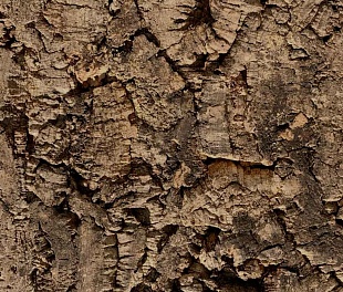 Пробковое покрытие Ibercork Настенное Design Ибица