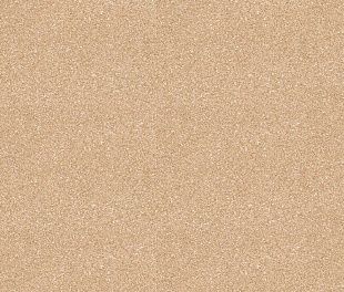 Линолеум PROFI MASTER PROXI 1 (2,5)