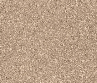 Линолеум PROFI SIRIUS SONATA 3 (2)