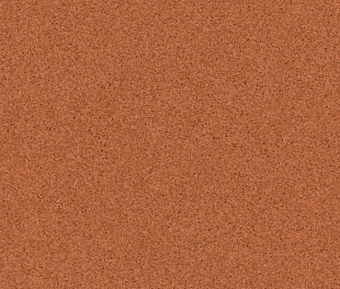 Линолеум Tarkett PRIMO PLUS 305