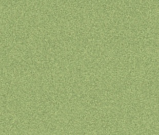 Линолеум PROFI PREMIUM AS NEVADA 6 (3)