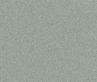 Линолеум Tarkett PRIMO PLUS 311