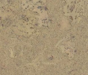 Пробковое покрытие RCork Eco cork home (клеевое) PB-CP Dawn Champagne