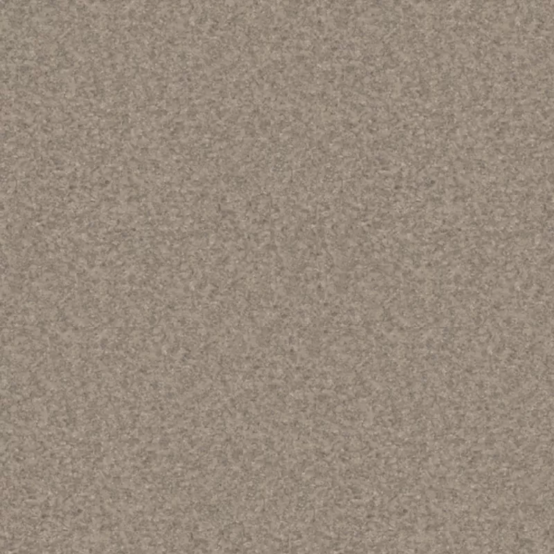 Линолеум PROFI PREMIUM AS NEVADA 2 (3)