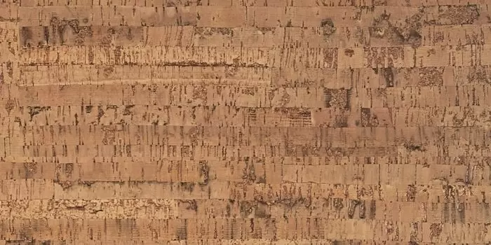 Пробковое покрытие RCork Eco cork premium XL (замковое) FL Linea