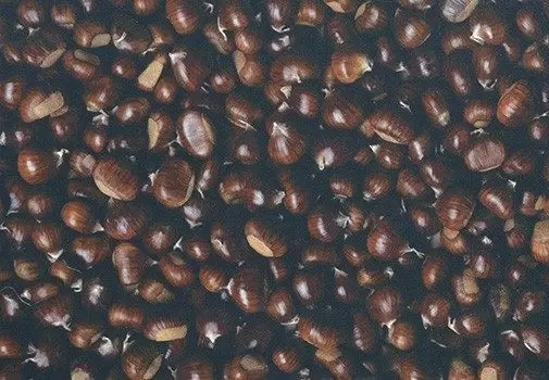 Пробковое покрытие RCork Digital PHOTOCORK Ambition (клеевое) PB-CP Chestnut