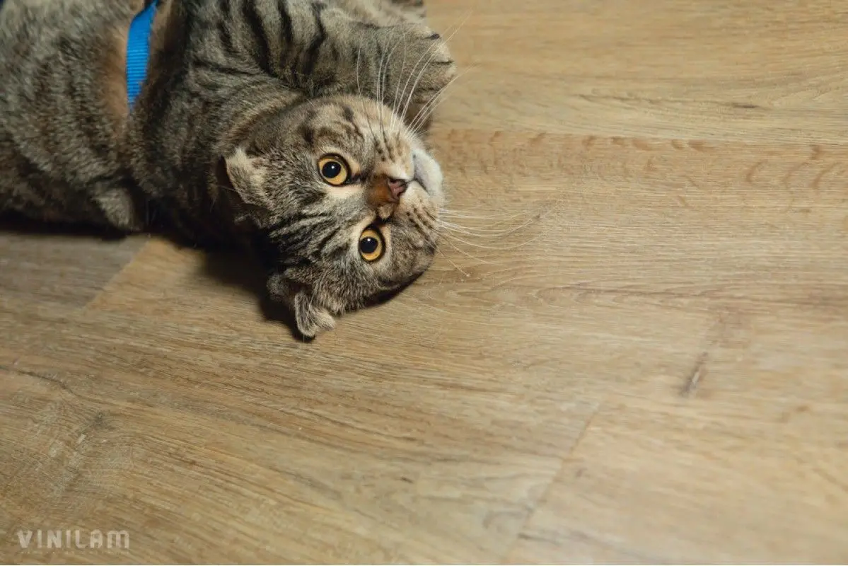 Кварцвиниловая плитка Vinilam Click 4 мм Дуб Дрезден 88006012