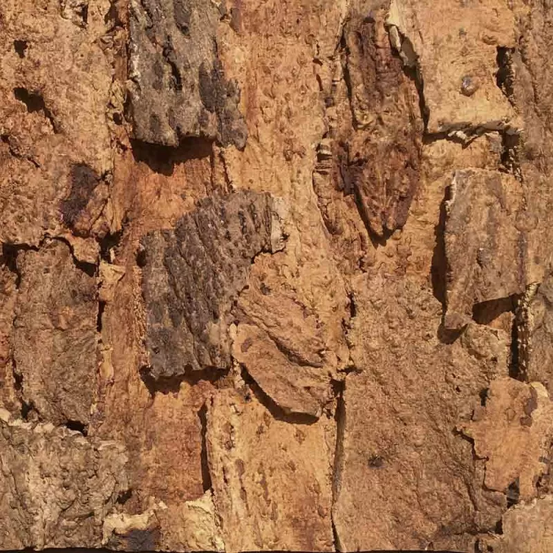 Пробковое покрытие Ibercork Настенное Design Форментура