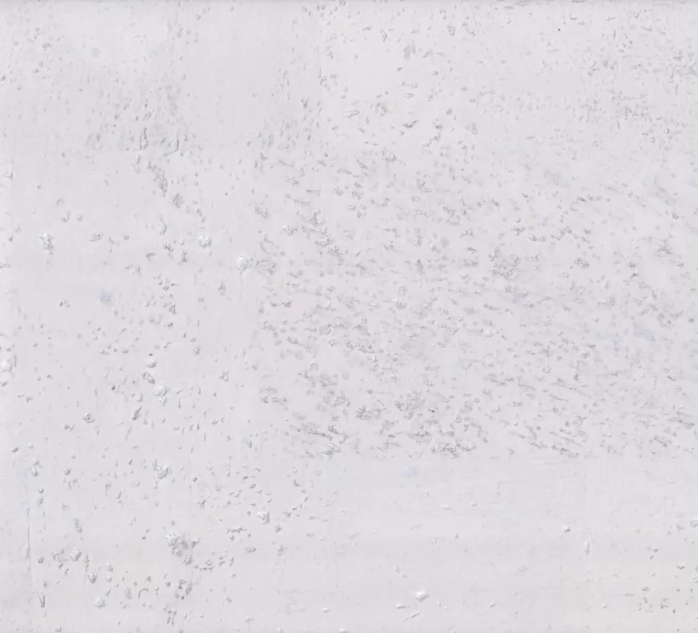 Пробковое покрытие CORKART Lite 384w WN (CM3 384v WN)