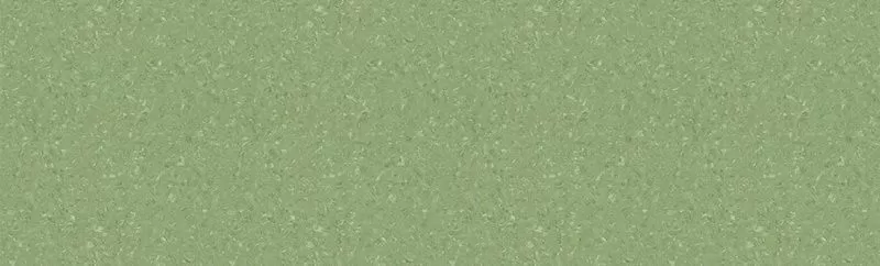 Линолеум Tarkett TEMPO PLUS 1009